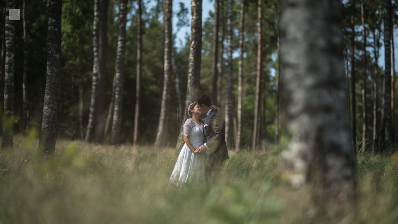 Brúðkaupsmynd sem sýnir brúðhjónin faðmast og kyssast á túni meðal birkitrjáa. Mynd tekin af Daniel Łoziński með Nikon D850 myndavélinni og Sigma ART linsum.